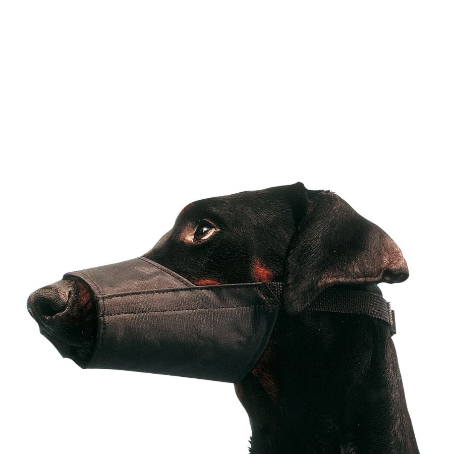 Dog Muzzle