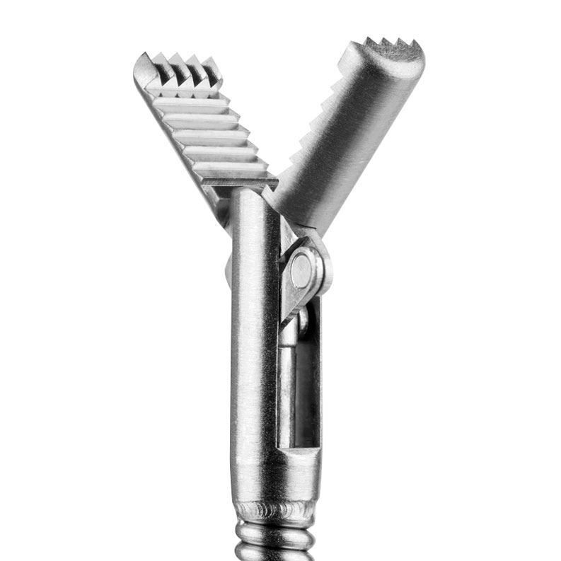 Endoscopy, Alligator Forceps 2 Endoscopy, Alligator Forceps