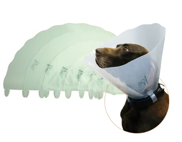 Greencol Dog collars