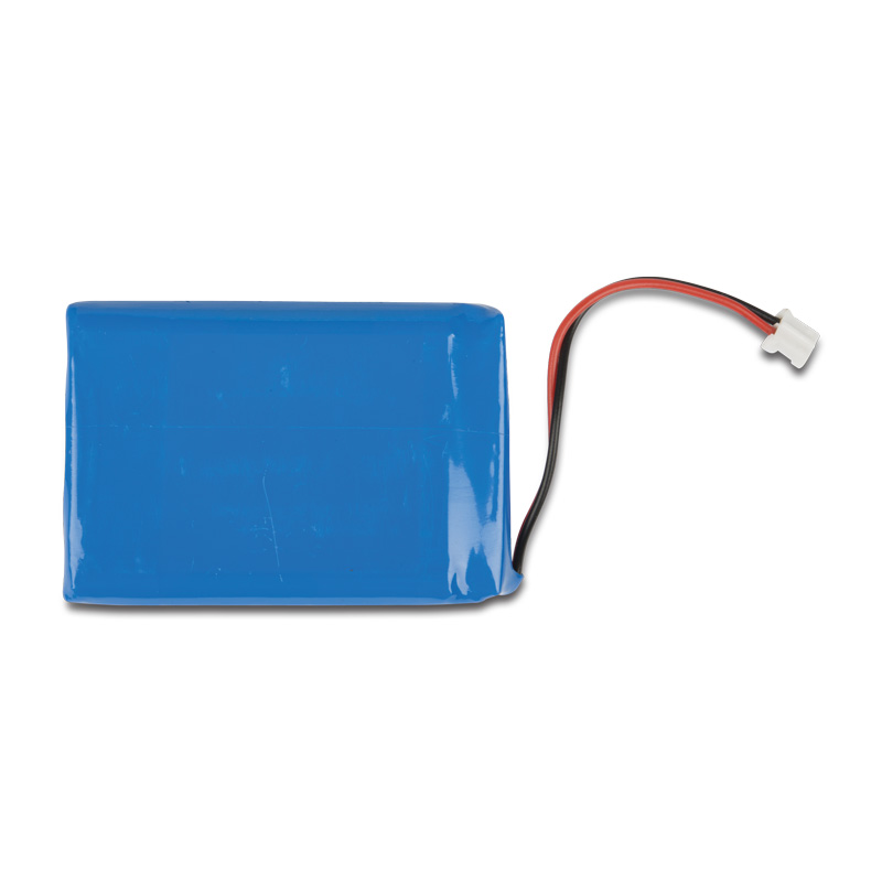 Spare Battery for LifeVet CP
