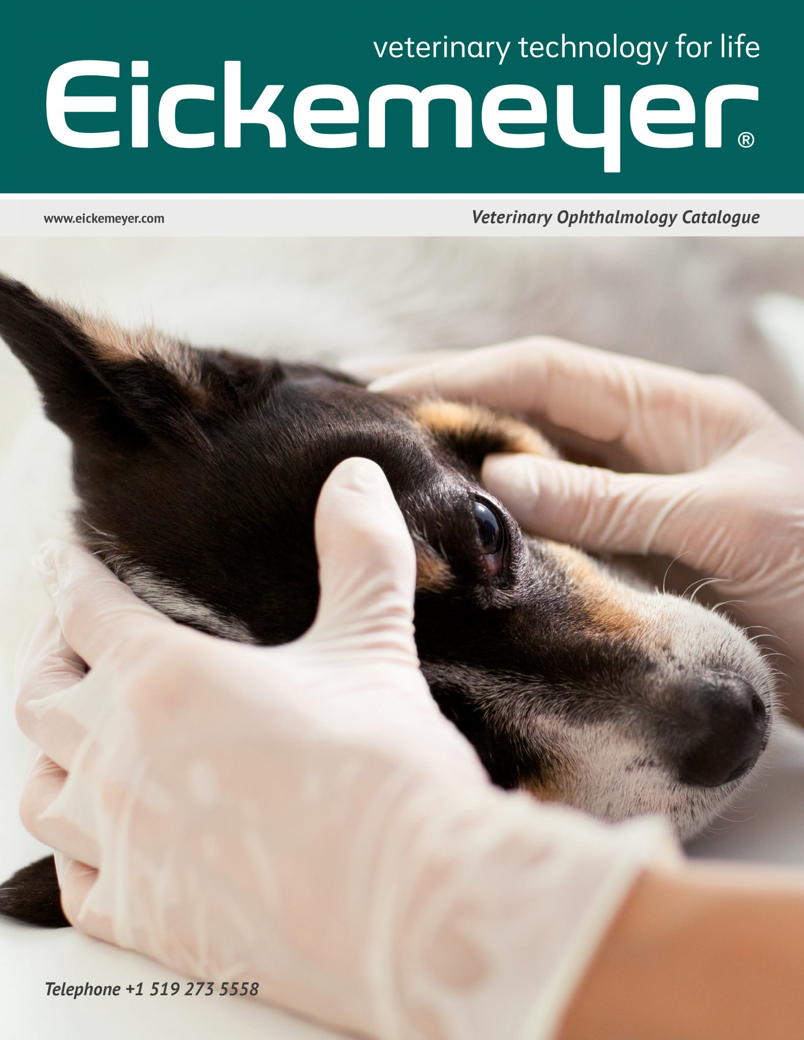 Shop Online Veterinary Equipment and Supplies Eickemeyer