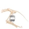 PinCube 35 mm - Image 4