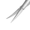 Vannas Cataract Scissors