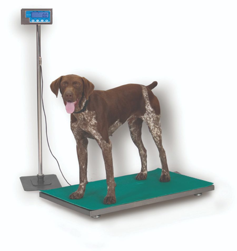 WeightTronix Floor Scale Replacment AC Adaptor