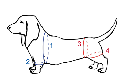 Handy Canis Hind Leg Support