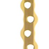 Eickloxx Large Bone Plate-Large Gold