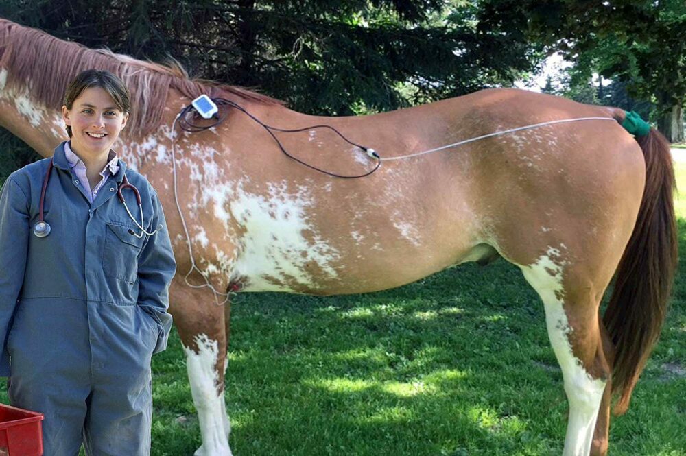 Vetcorder equine use Vetcorder™ Large Animal Kit