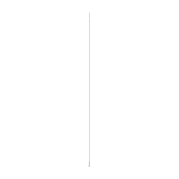 Canine urinary catheter 10 french