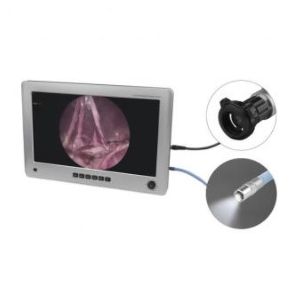 EickView 4-in-1 Endoscopy Monitor
