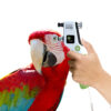 Fundamentals of Ophthalmology - Image 3