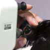 Fundamentals of Ophthalmology - Image 6