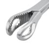 Bone Holding Forceps Angus