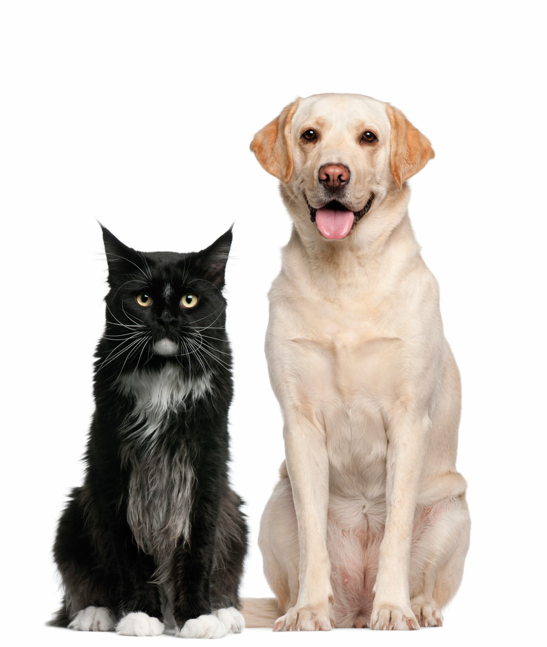 Advanced Surgical Procedures for the General Practitioner