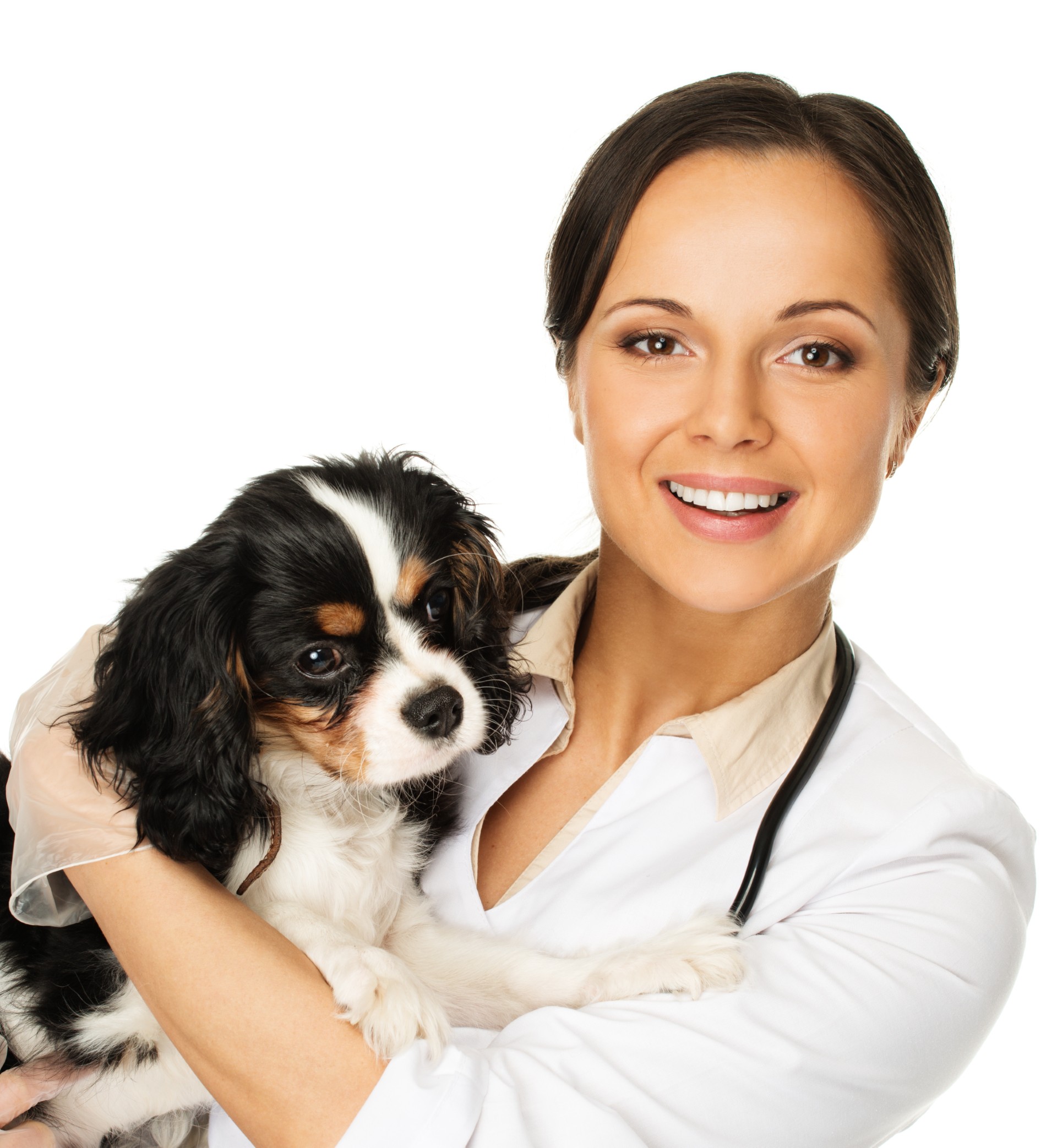 Anesthesia Training For Veterinary Technicians