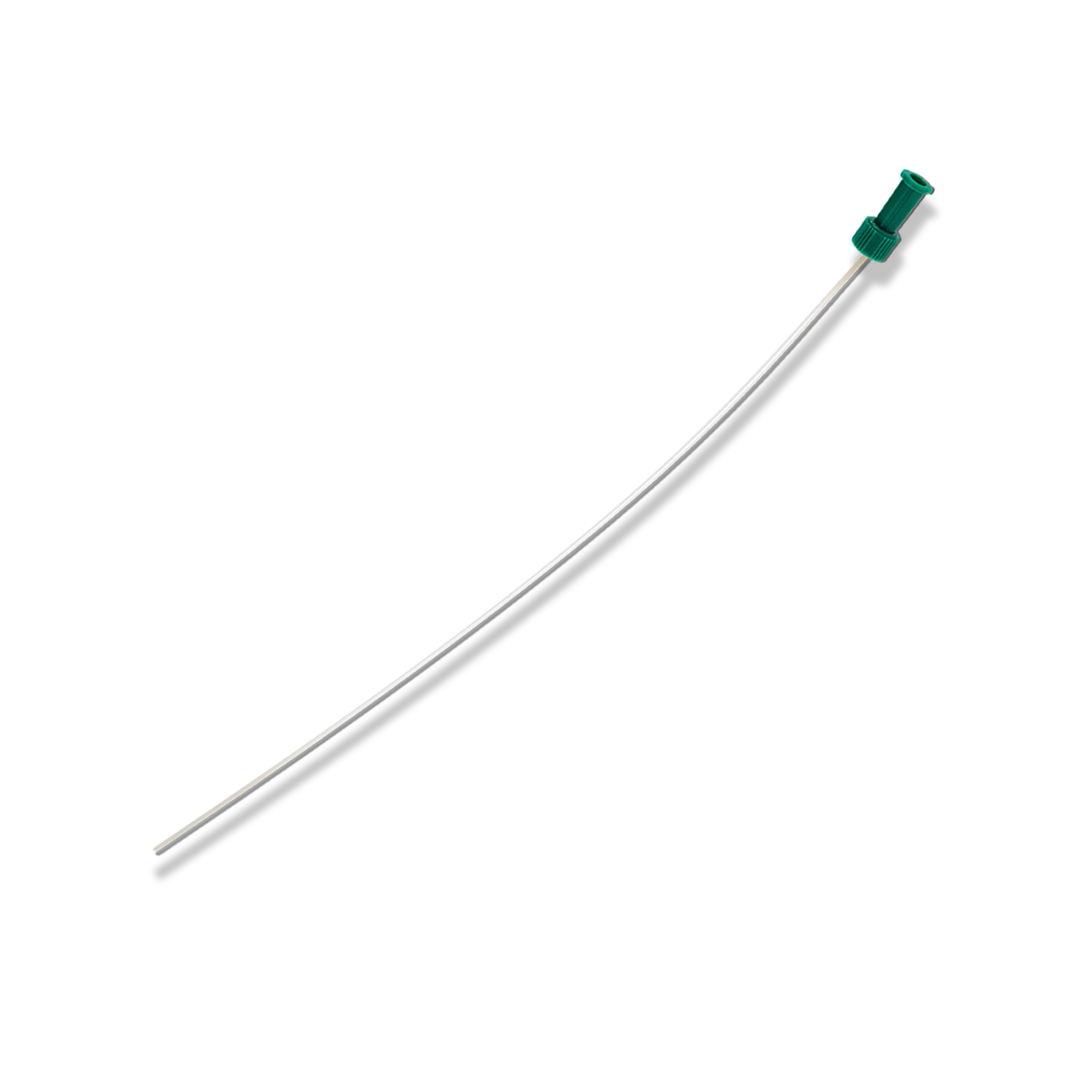 Millpledge Jimmy Riddle Dog Cath