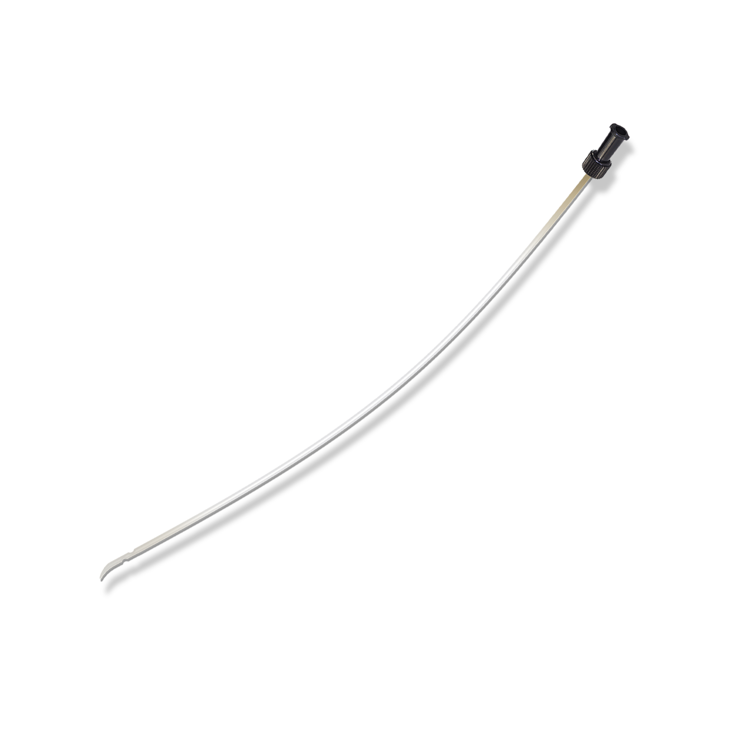 Millpledge Jimmy Riddle Dog Cath - Image 6