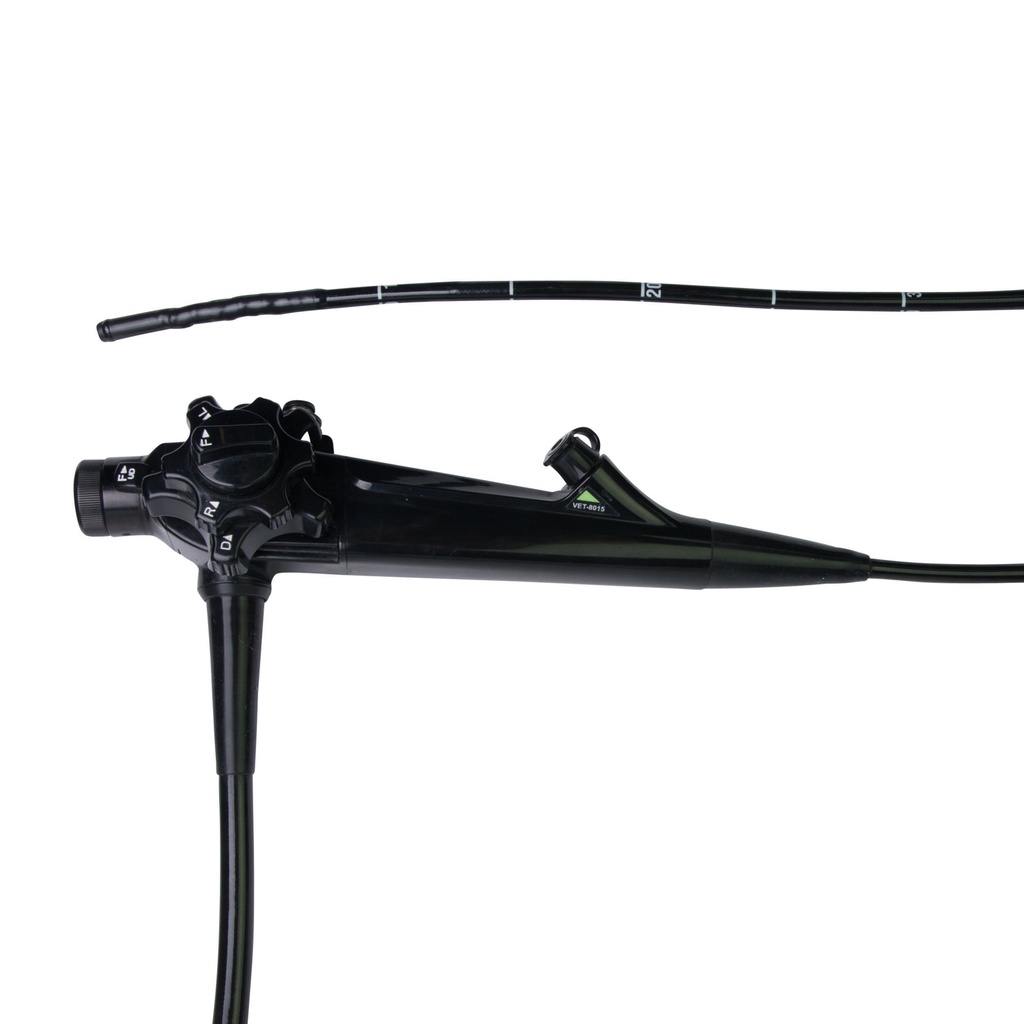 EickView 150 HD Video Endoscope